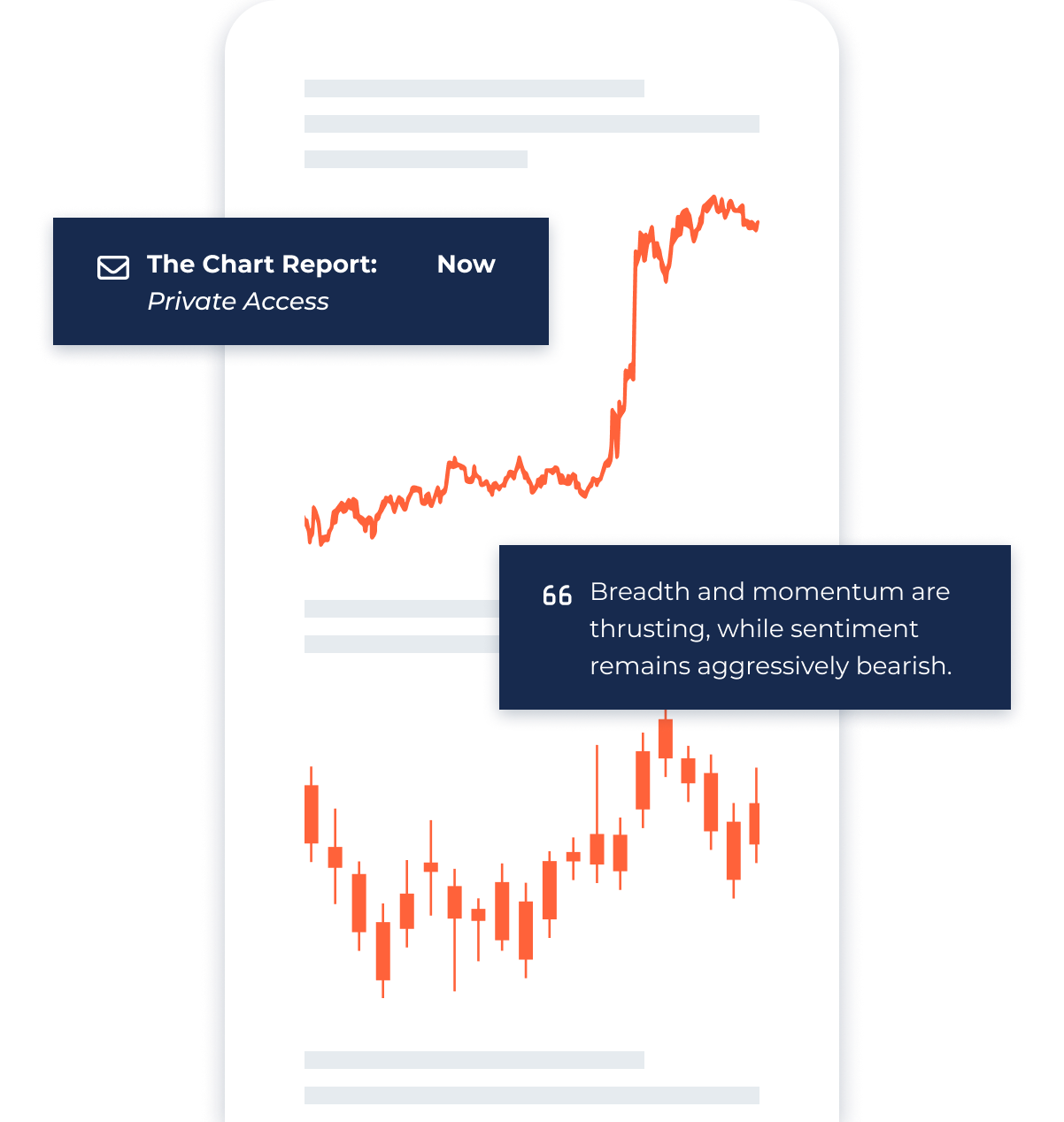 the chart report private access screen mockup