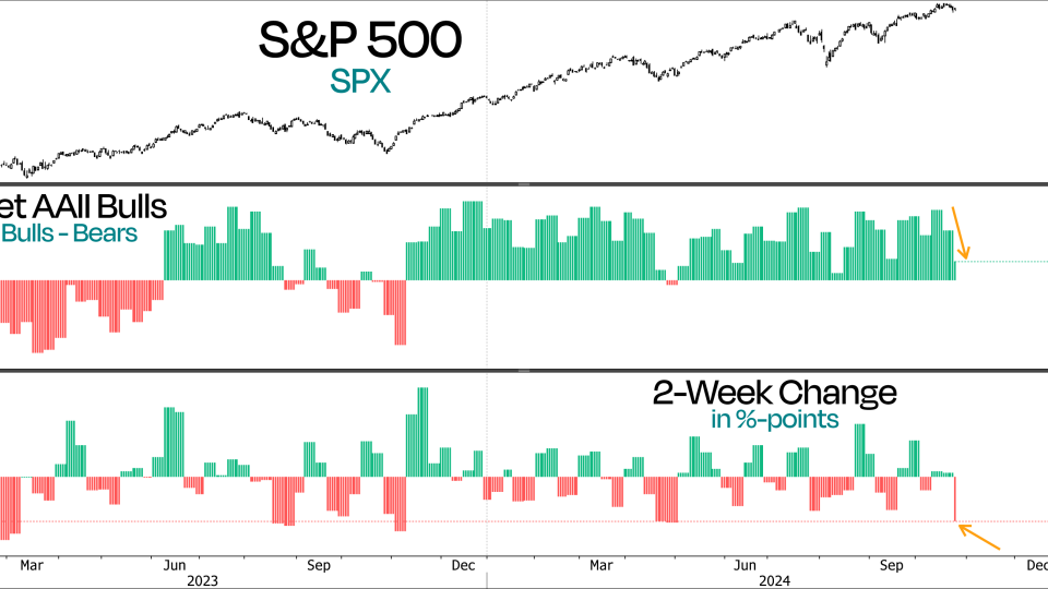 SPX and AAII Sentiment Survey