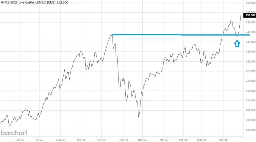 The Chart Report