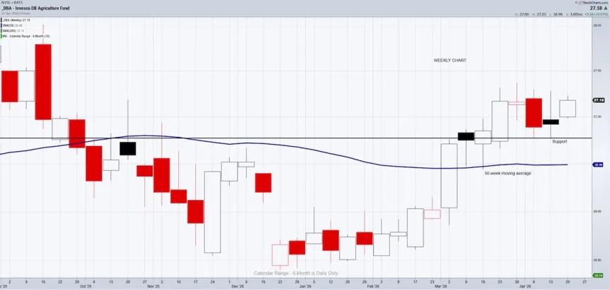 The Chart Report