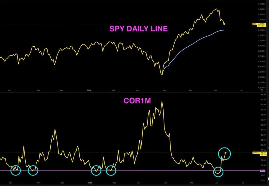 The Chart Report
