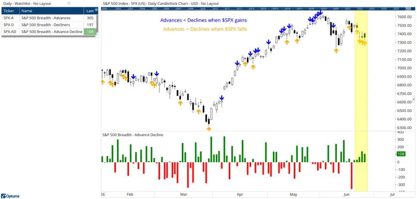 The Chart Report