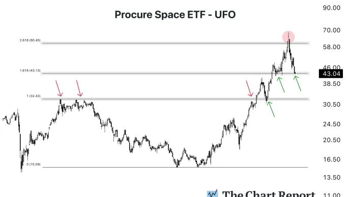 The Chart Report